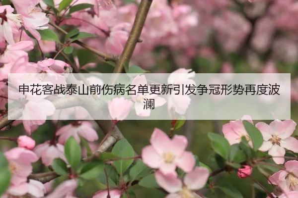 申花客战泰山前伤病名单更新引发争冠形势再度波澜