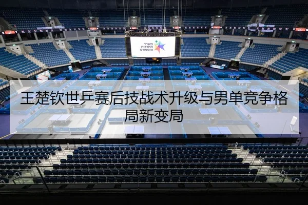 王楚钦世乒赛后技战术升级与男单竞争格局新变局